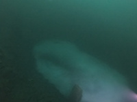 Sírné jezero